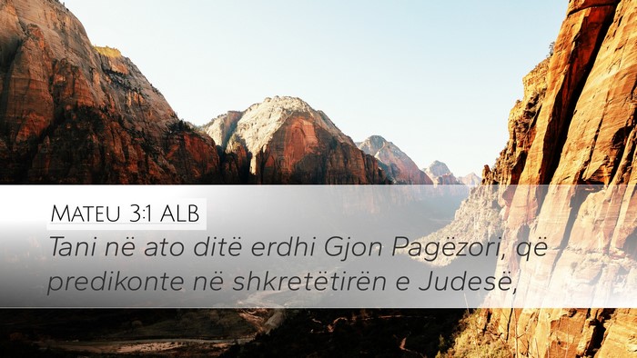Mateu 3:1 ALB Desktop Wallpaper - Tani në ato ditë erdhi Gjon Pagëzori, që - Desktop Bible Verse Wallpaper
