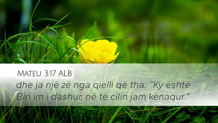 Mateu 3:17 ALB Bible Verse Image