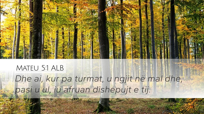Mateu 5:1 ALB Bible Verse Image