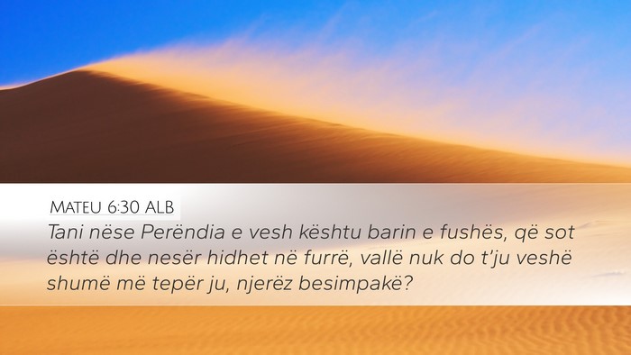 Mateu 6:30 ALB Bible Verse Image