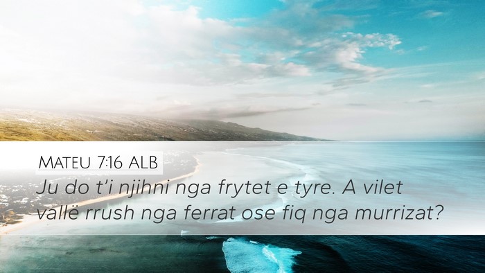 Mateu 7:16 ALB Bible Verse Image