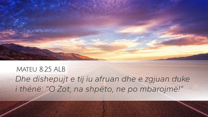 Mateu 8:25 ALB Desktop Wallpaper - Dhe dishepujt e tij iu afruan dhe e zgjuan duke i - Desktop Bible Verse Wallpaper