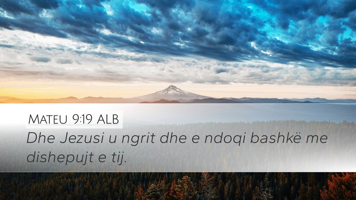 Mateu 9:19 ALB Desktop Wallpaper - Dhe Jezusi u ngrit dhe e ndoqi bashkë me - Desktop Bible Verse Wallpaper