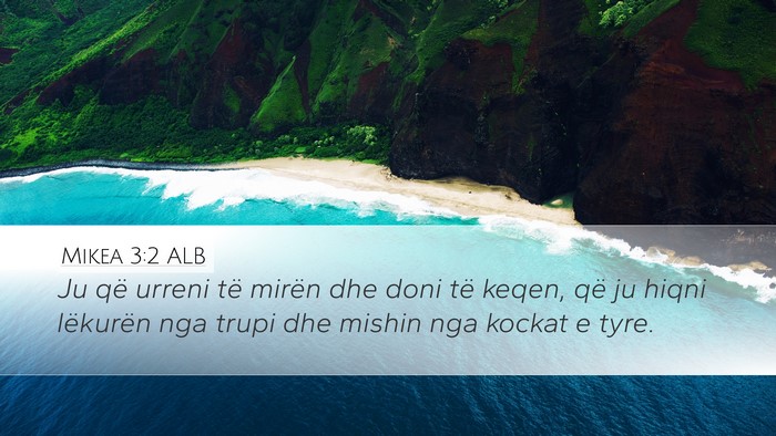 Mikea 3:2 ALB Bible Verse Image