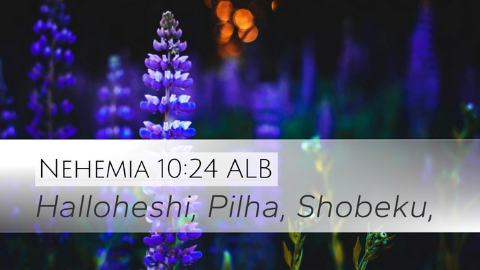Nehemia 10:24 ALB Desktop Wallpaper - Halloheshi, Pilha, - Desktop Bible Verse Wallpaper