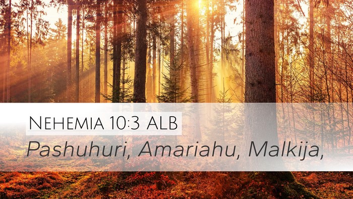 Nehemia 10:3 ALB Bible Verse Image