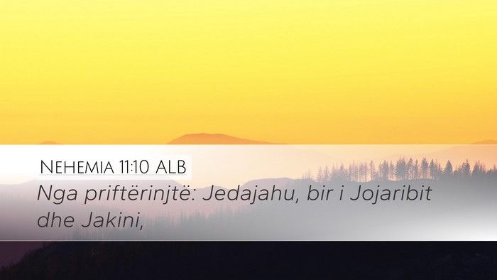 Nehemia 11:10 ALB Bible Verse Image