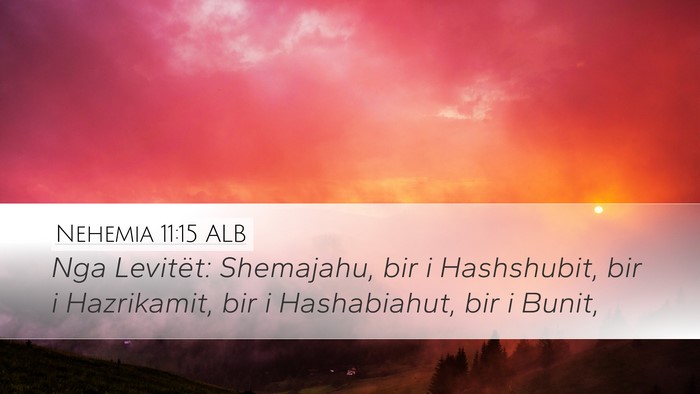 Nehemia 11:15 ALB Bible Verse Image