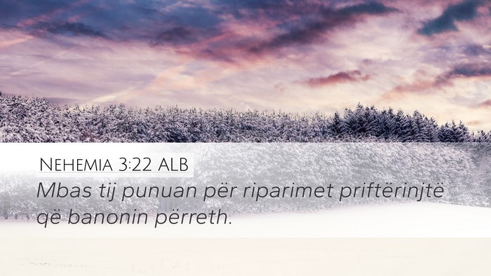 Nehemia 3:22 ALB Desktop Wallpaper - Mbas tij punuan për riparimet priftërinjtë që - Desktop Bible Verse Wallpaper