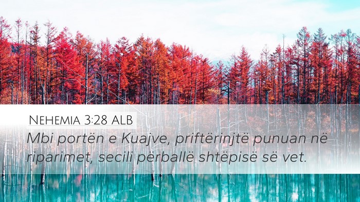 Nehemia 3:28 ALB Bible Verse Image