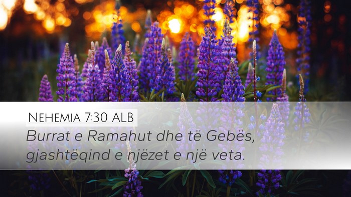 Nehemia 7:30 ALB Desktop Wallpaper - Burrat e Ramahut dhe të Gebës, gjashtëqind e - Desktop Bible Verse Wallpaper