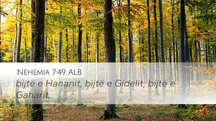Nehemia 7:49 ALB Desktop Wallpaper - bijtë e Hananit, bijtë e Gidelit, bijtë e - Desktop Bible Verse Wallpaper