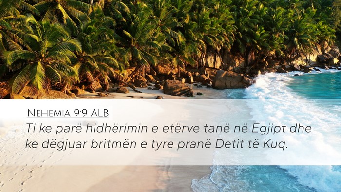 Nehemia 9:9 ALB Bible Verse Image
