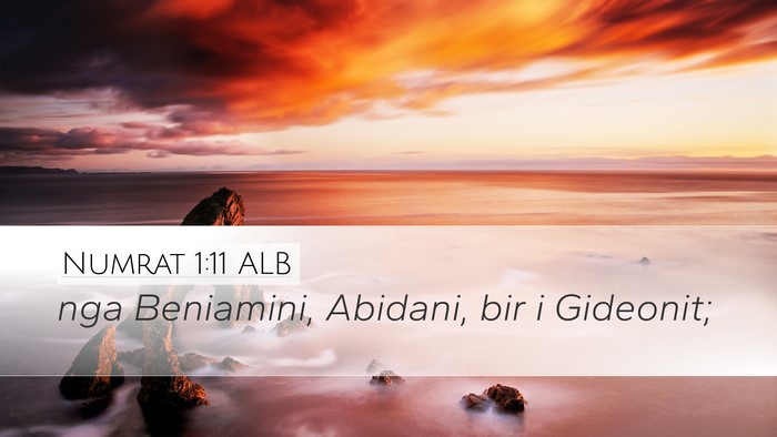 Numrat 1:11 ALB Desktop Wallpaper - nga Beniamini, Abidani, bir i - Desktop Bible Verse Wallpaper