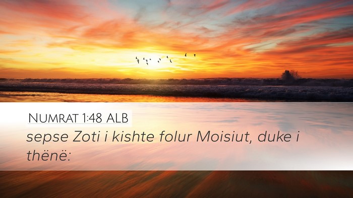 Numrat 1:48 ALB Desktop Wallpaper - sepse Zoti i kishte folur Moisiut, duke i - Desktop Bible Verse Wallpaper