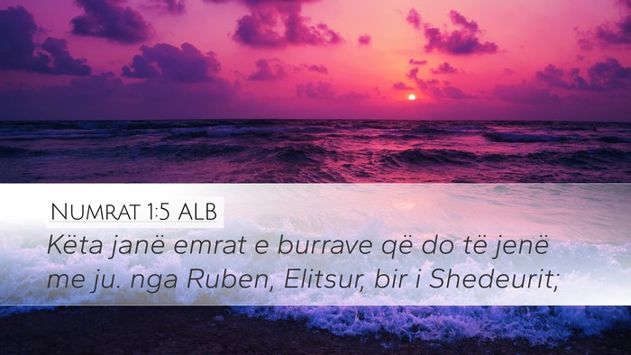 Numrat 1:5 ALB Bible Verse Image