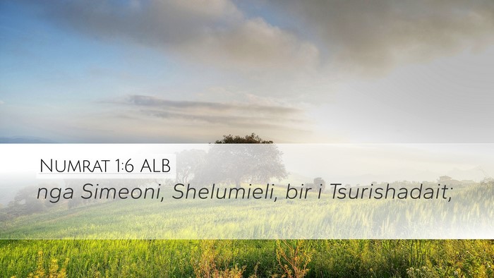 Numrat 1:6 ALB Desktop Wallpaper - nga Simeoni, Shelumieli, bir i - Desktop Bible Verse Wallpaper