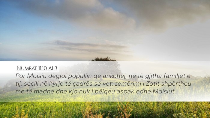 Numrat 11:10 ALB Bible Verse Image