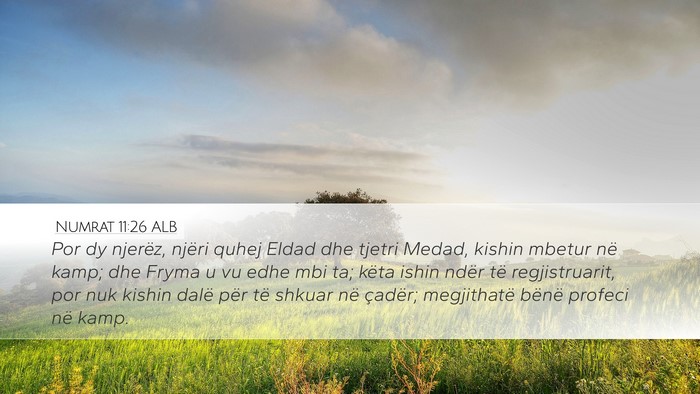 Numrat 11:26 ALB Bible Verse Image