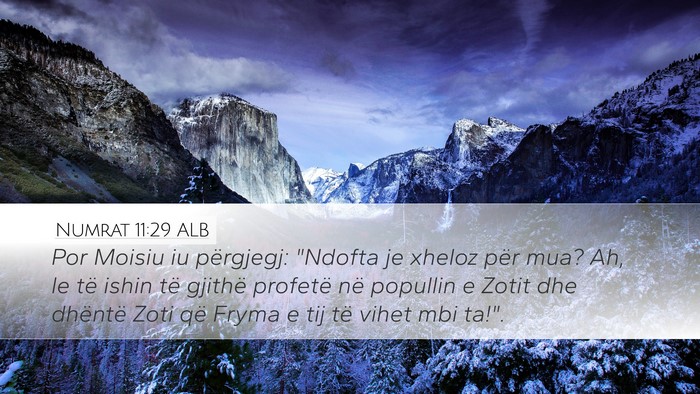 Numrat 11:29 ALB Bible Verse Image