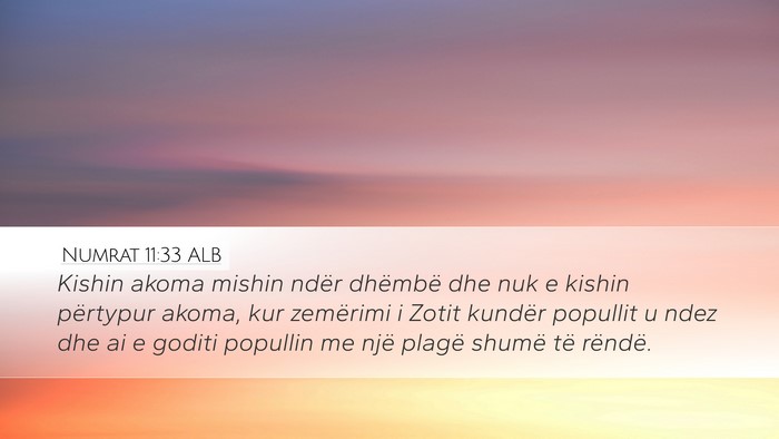 Numrat 11:33 ALB Bible Verse Image