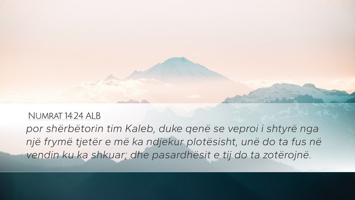 Numrat 14:24 ALB Bible Verse Image