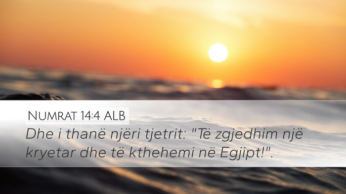 Numrat 14:4 ALB Bible Verse Image