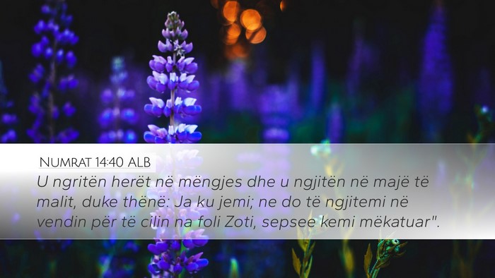 Numrat 14:40 ALB Desktop Wallpaper - U ngritën herët në mëngjes dhe u ngjitën në - Desktop Bible Verse Wallpaper