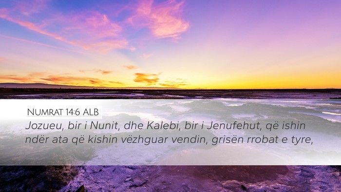 Numrat 14:6 ALB Bible Verse Image
