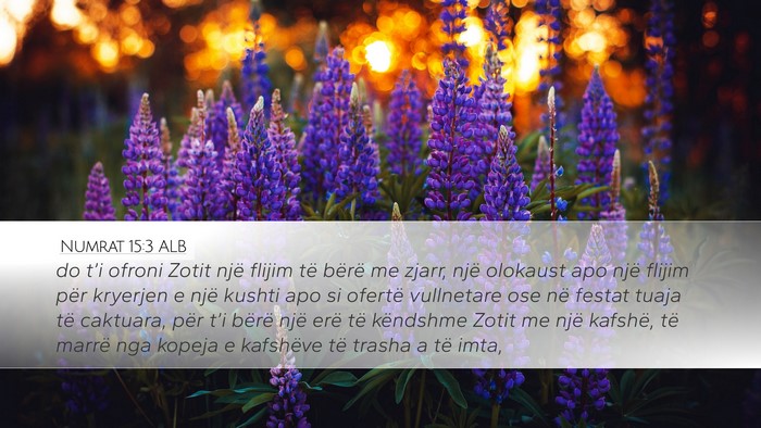 Numrat 15:3 ALB Bible Verse Image