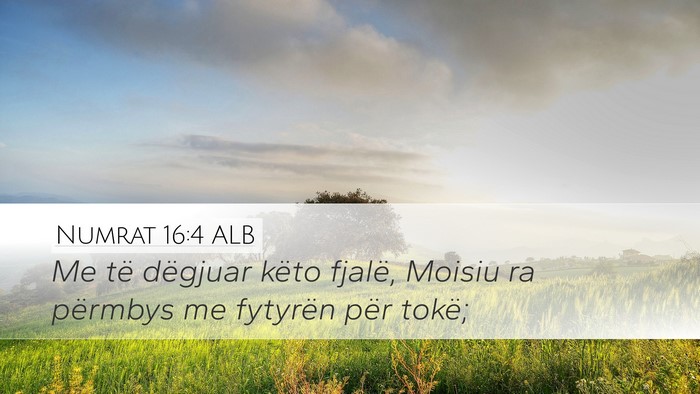 Numrat 16:4 ALB Desktop Wallpaper - Me të dëgjuar këto fjalë, Moisiu ra përmbys - Desktop Bible Verse Wallpaper