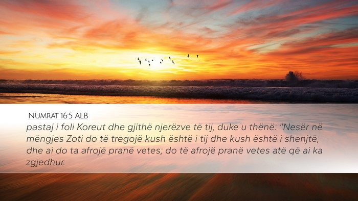 Numrat 16:5 ALB Bible Verse Image