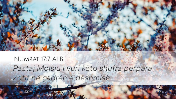 Numrat 17:7 ALB Bible Verse Image