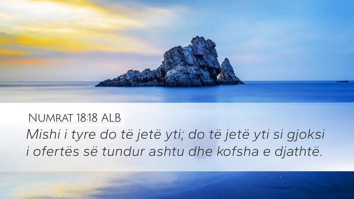 Numrat 18:18 ALB Bible Verse Image
