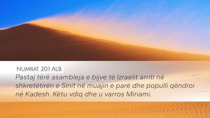 Numrat 20:1 ALB Desktop Wallpaper - Pastaj tërë asambleja e bijve të Izraelit - Desktop Bible Verse Wallpaper