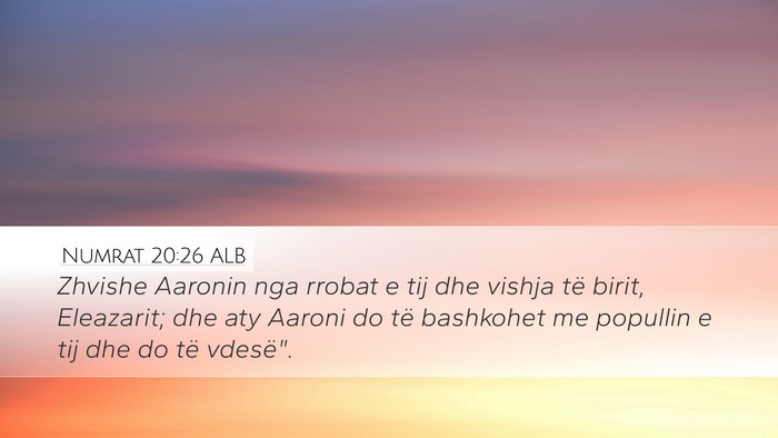 Numrat 20:26 ALB Bible Verse Image