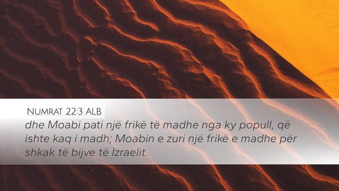 Numrat 22:3 ALB Bible Verse Image