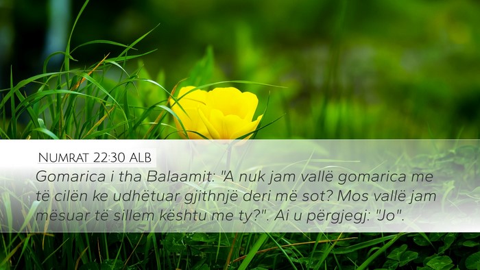 Numrat 22:30 ALB Desktop Wallpaper - Gomarica i tha Balaamit: 