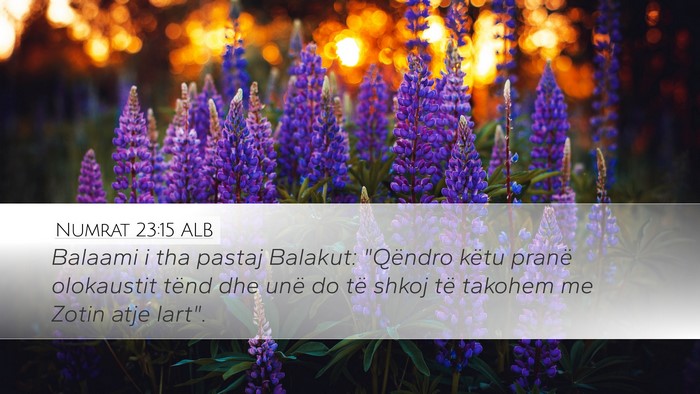 Numrat 23:15 ALB Bible Verse Image