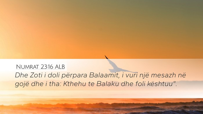 Numrat 23:16 ALB Bible Verse Image