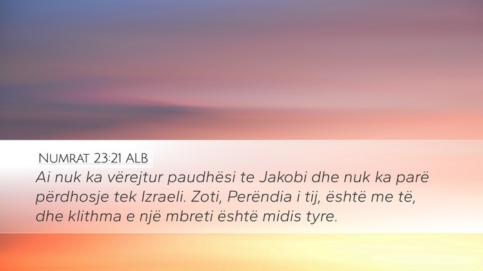 Numrat 23:21 ALB Bible Verse Image