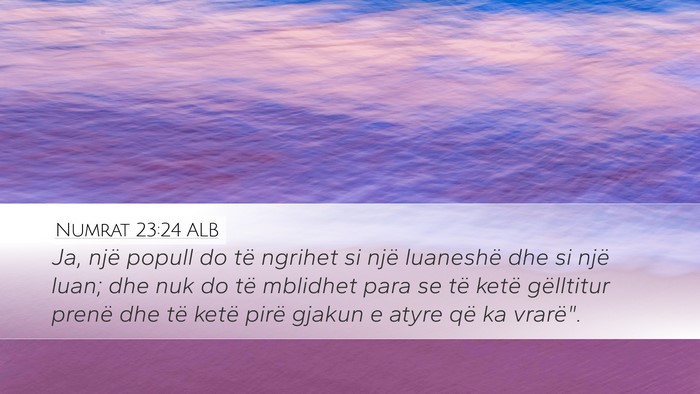 Numrat 23:24 ALB Bible Verse Image