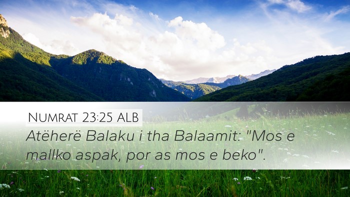 Numrat 23:25 ALB Desktop Wallpaper - Atëherë Balaku i tha Balaamit: 