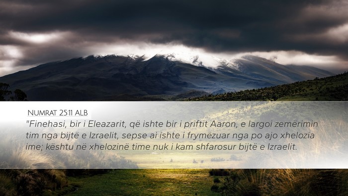 Numrat 25:11 ALB Bible Verse Image