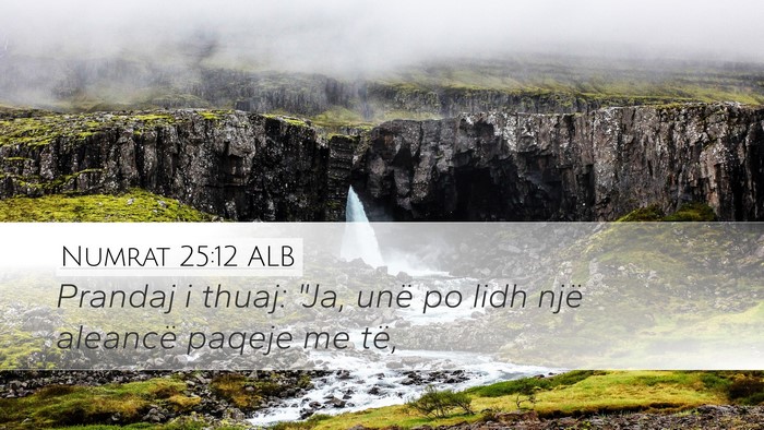 Numrat 25:12 ALB Bible Verse Image