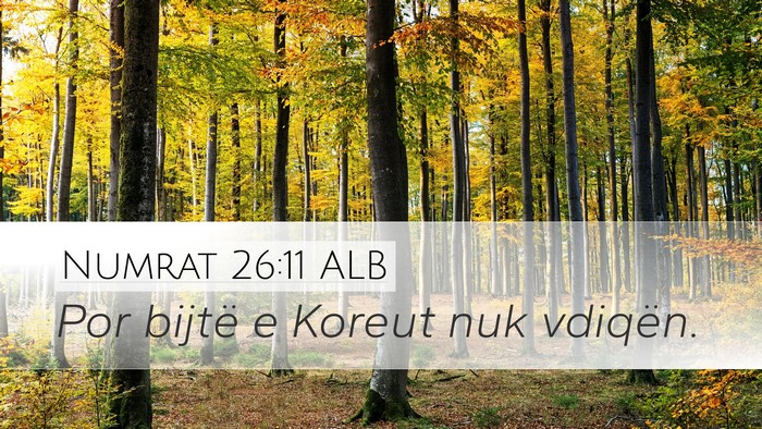 Numrat 26:11 ALB Bible Verse Image
