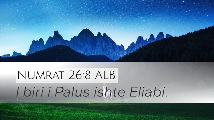 Numrat 26:8 ALB Desktop Wallpaper - I biri i Palus ishte - Desktop Bible Verse Wallpaper