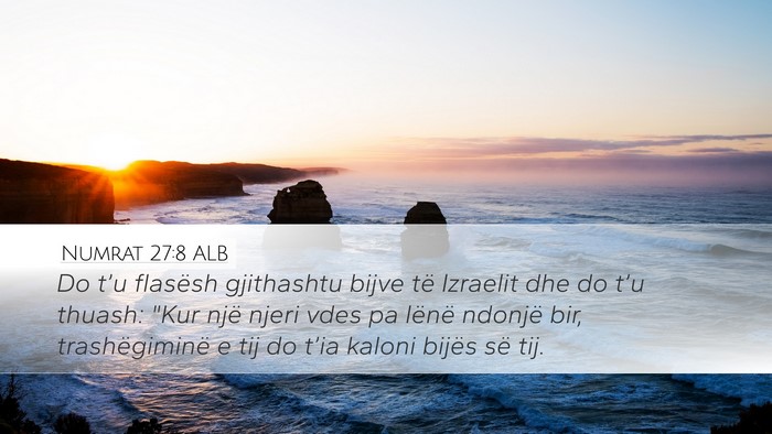 Numrat 27:8 ALB Desktop Wallpaper - Do t’u flasësh gjithashtu bijve të Izraelit - Desktop Bible Verse Wallpaper
