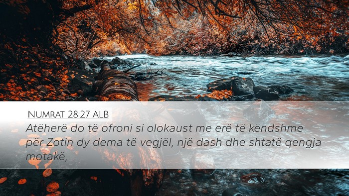 Numrat 28:27 ALB Bible Verse Image
