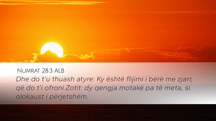 Numrat 28:3 ALB Bible Verse Image